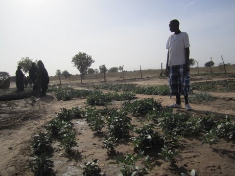 Programme for mambrookes