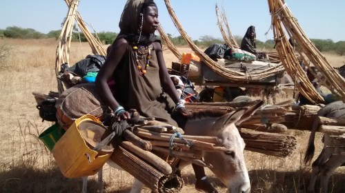 Life on the move for the Fulani tribesmen and women